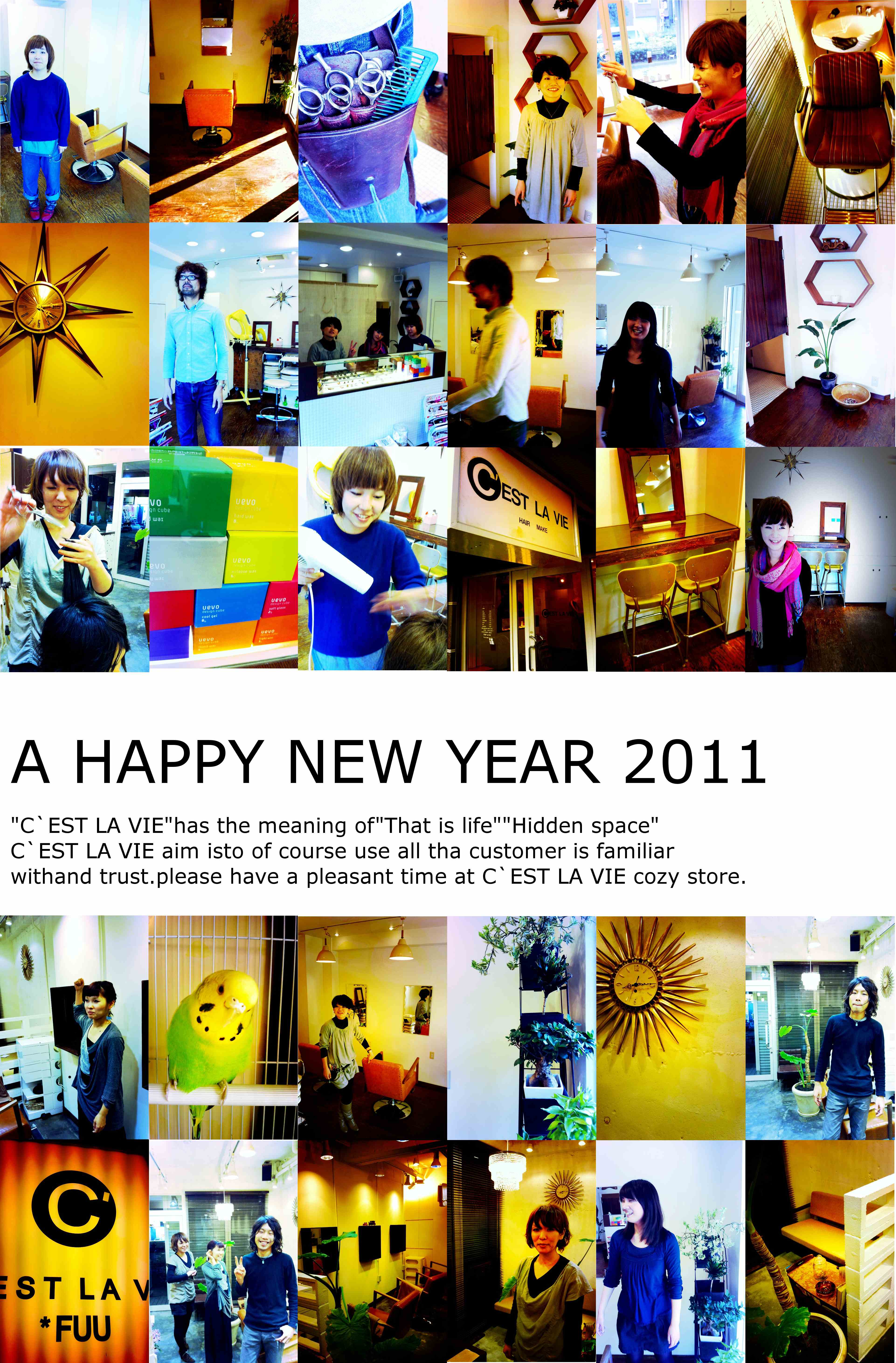 A Happy New Year 2011